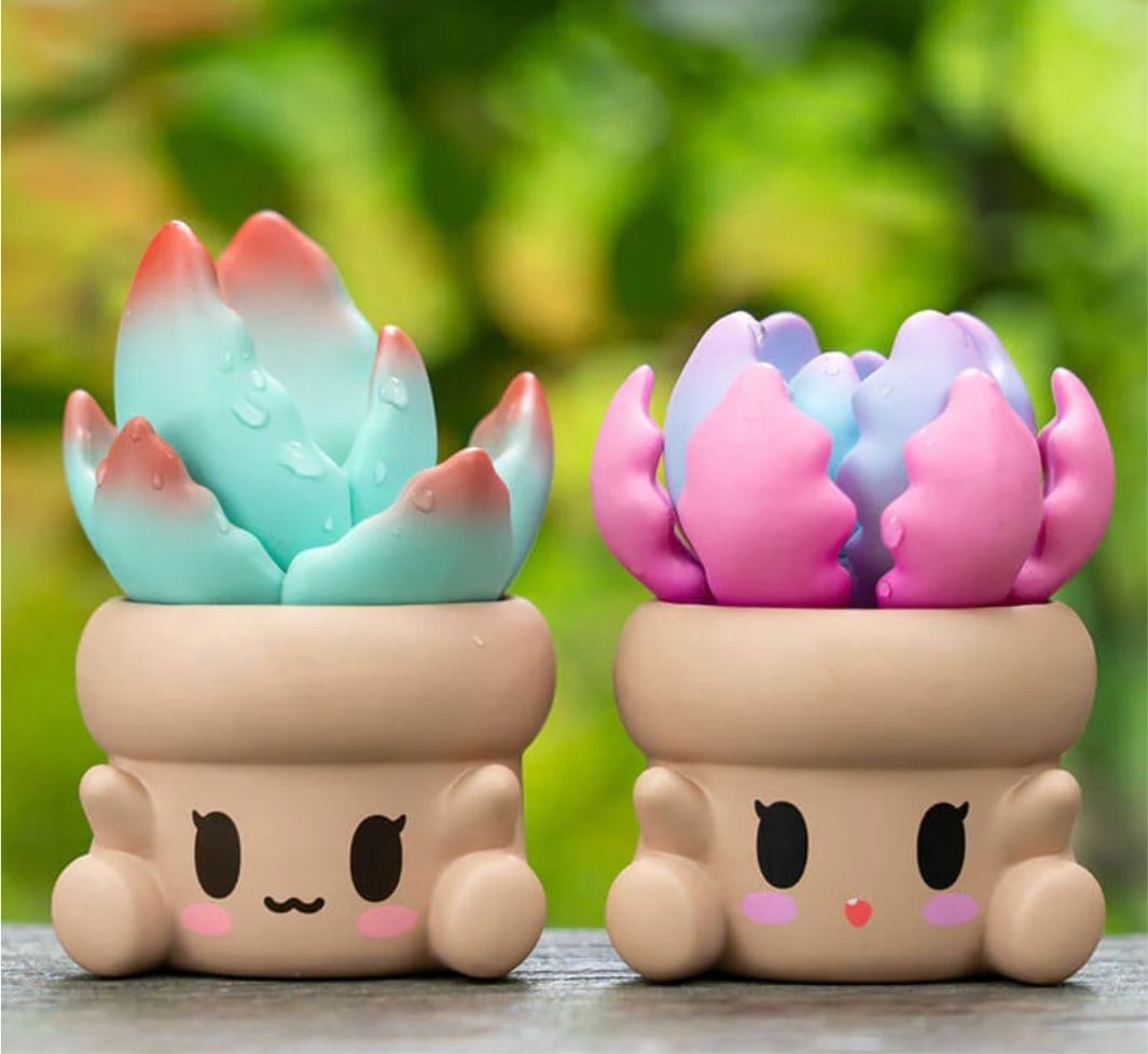penpot succulent Penpot Hugging Succulents Series 2 Blind Box – Tanoshi Pop